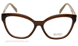 13 Brown