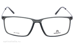 R5311D